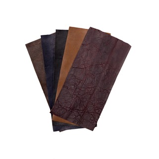 Leather Samples