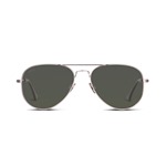Willems x Aero Leather A-2 Sunglasses: Brushed Rhodium
