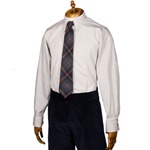 Aero CC41 Spearpoint Collar Shirt: Ivory Stripe