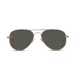 Willems x Aero Leather A-2 Sunglasses: Brushed Copper Gold